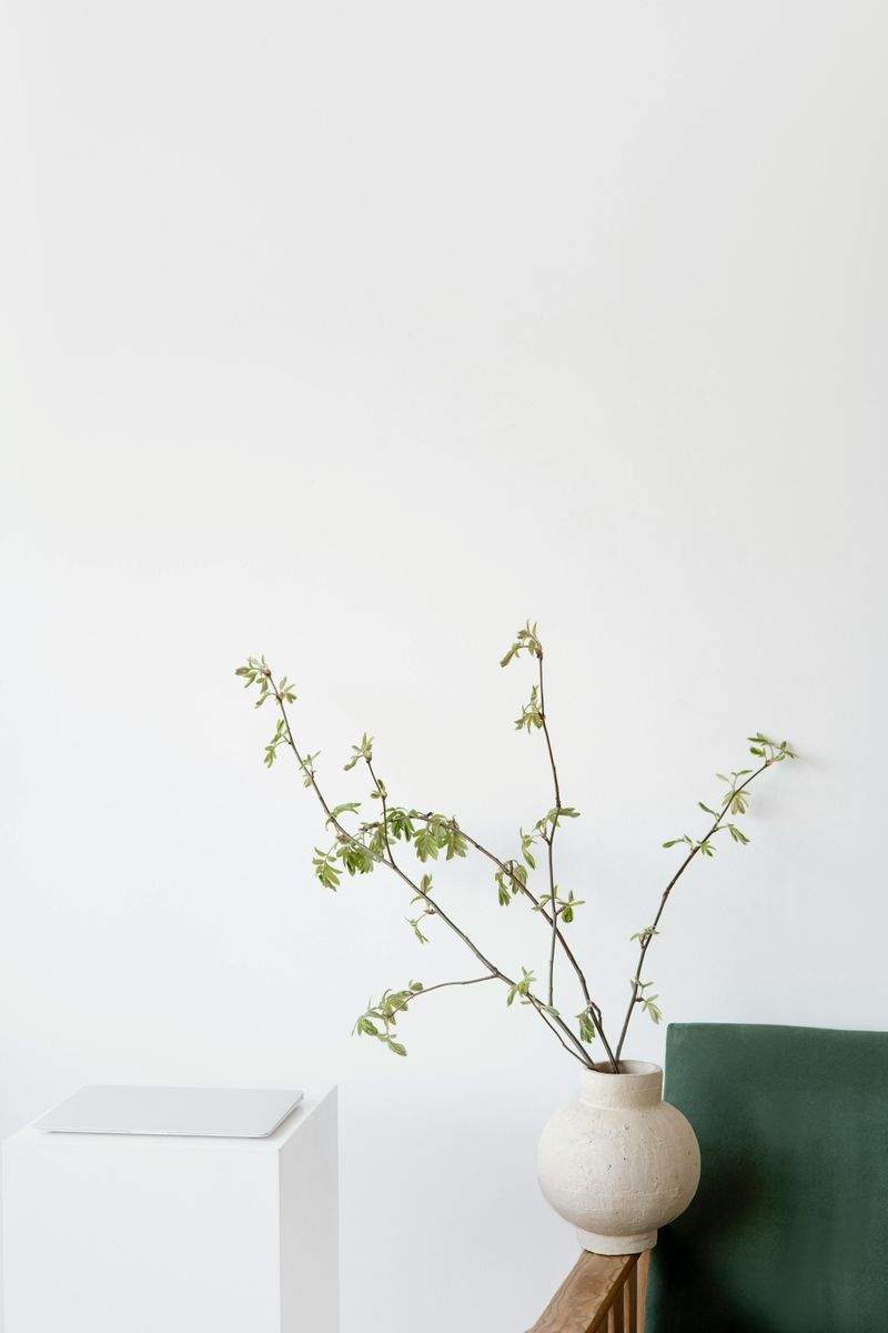 LeuchtBlüte GmbH - Image 9